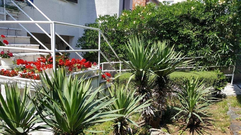 Apartments Mirjana Нови-Винодолски Экстерьер фото
